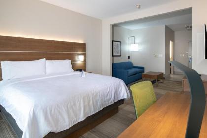 Holiday Inn Express Hotel & Suites Dallas South - DeSoto an IHG Hotel - image 16
