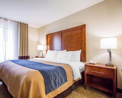 Comfort Inn & Suites Hotel in the Black Hills - image 12