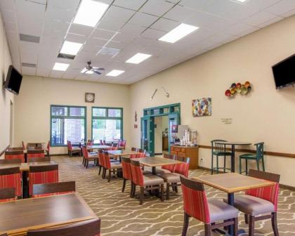 Comfort Inn & Suites Hotel in the Black Hills - image 14
