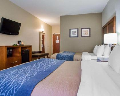 Comfort Inn & Suites Hotel in the Black Hills - image 2
