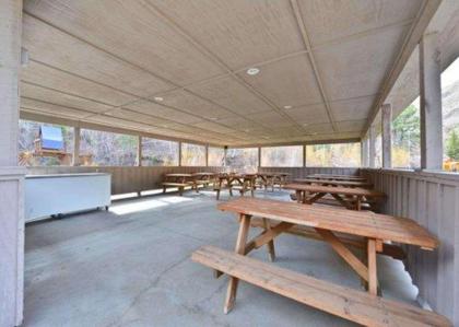 Comfort Inn & Suites Hotel in the Black Hills - image 3