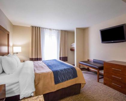 Comfort Inn & Suites Hotel in the Black Hills - image 7