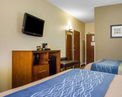 Comfort Inn & Suites Hotel in the Black Hills - image 8