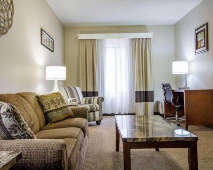 Comfort Inn & Suites Hotel in the Black Hills - image 9