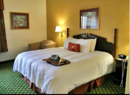 Hampton Inn Decatur - image 11