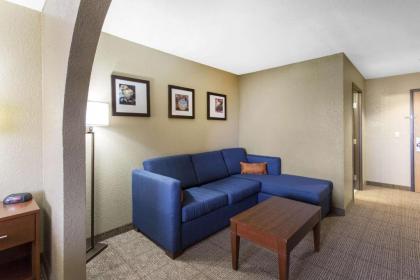 Comfort Inn & Suites Deming - image 11