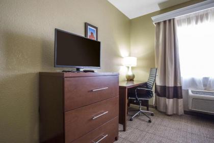 Comfort Inn & Suites Deming - image 14
