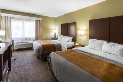Comfort Inn & Suites Deming - image 3