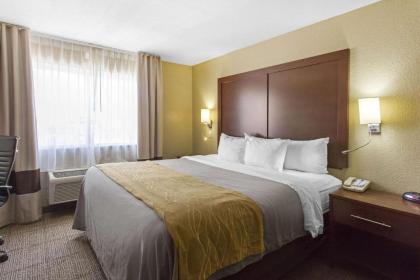 Comfort Inn & Suites Deming - image 5