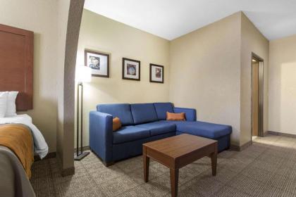 Comfort Inn & Suites Deming - image 8