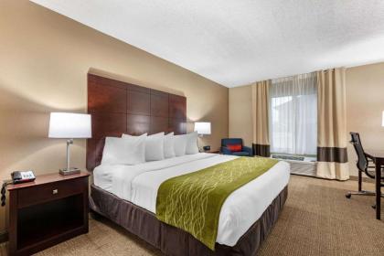 Comfort Inn US Hwy 80 - image 11