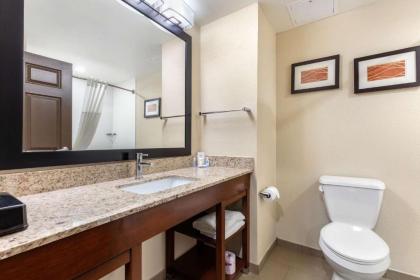 Comfort Inn US Hwy 80 - image 13
