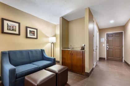 Comfort Inn US Hwy 80 - image 15