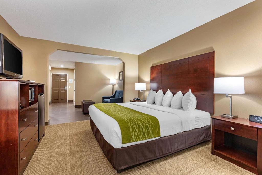 Comfort Inn US Hwy 80 - image 7
