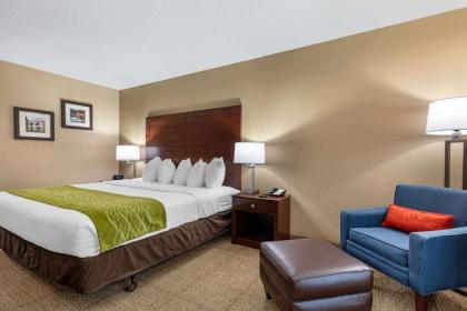 Comfort Inn US Hwy 80 - image 8