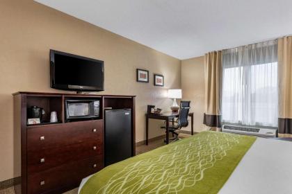 Comfort Inn US Hwy 80 - image 9