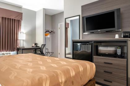 Quality Inn & Suites - image 2