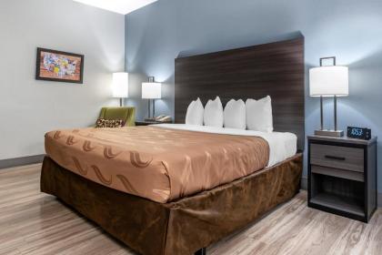 Quality Inn & Suites - image 7