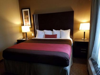 Best Western Plus Hotel and Suites Denison - image 4