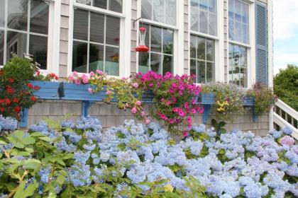 An English Garden - image 8