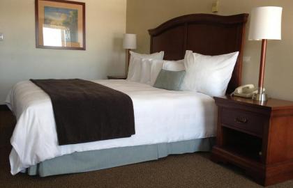 Holiday Hill Inn & Suites - image 14