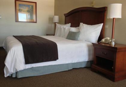 Holiday Hill Inn & Suites - image 15