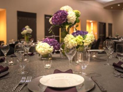 SpringHill Suites by Marriott Denver Downtown - image 4
