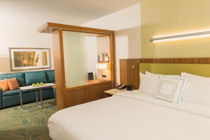 SpringHill Suites by Marriott Buffalo Airport - image 6