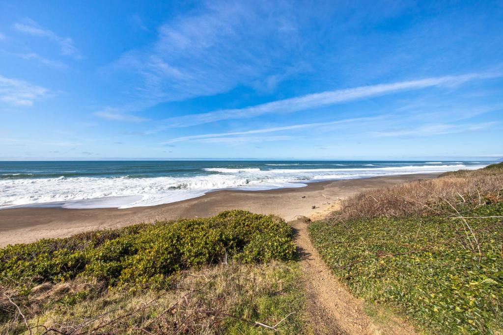 Coastal Dream - image 7