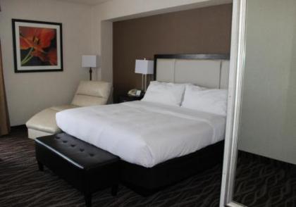 Holiday Inn Des Moines-Airport Conference Center an IHG Hotel - image 4