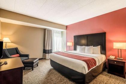 Comfort Inn Convention Center-Chicago O’hare Airport - image 21