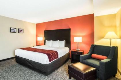 Comfort Inn Convention Center-Chicago O’hare Airport - image 4