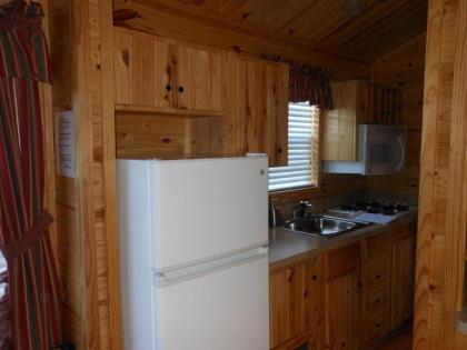 Oakzanita Springs Camping Resort Cabin 1 - image 4