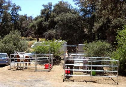 Oakzanita Springs Camping Resort Cottage 4 - image 12