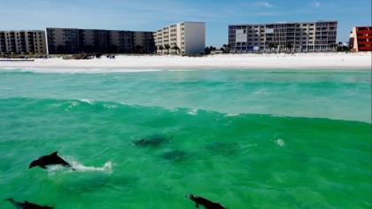 Holiday Surf and Racquet Club 403 condo Destin