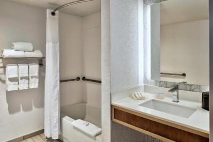 Hilton Garden Inn Detroit Downtown - image 3