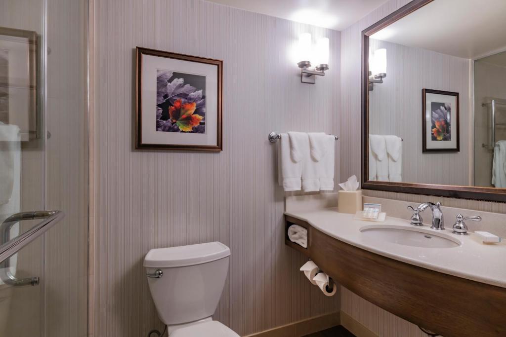 Hilton Garden Inn Devens Common - image 5