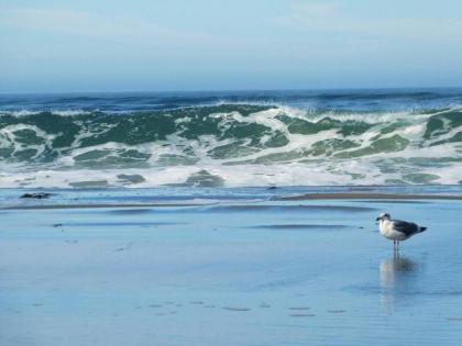 Breaking Waves! On the Bluff! AMAZING VIEWS!! BBQ! Fast WiFi! Walk to Beach!!! - image 5