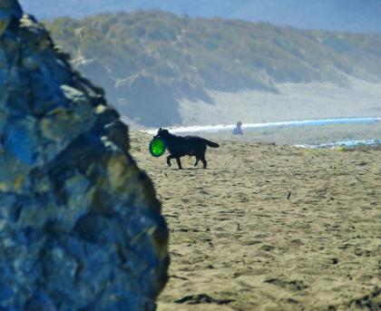 Sea Breeze! Walk to Beach!! In the Village! BBQ! Fast WiFi!! Dog Friendly! - image 9