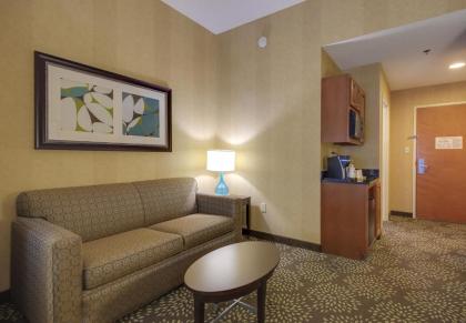 Holiday Inn Express & Suites Sylva / Dillsboro an IHG Hotel - image 4