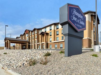 Hampton Inn  Suites Douglas