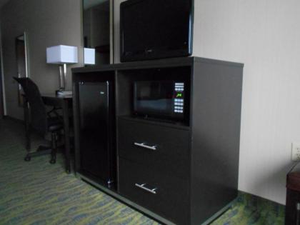 Holiday Inn Express Hotel & Suites Dubois an IHG Hotel - image 3