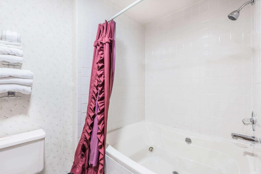 Super 8 by Wyndham Du Quoin - image 6