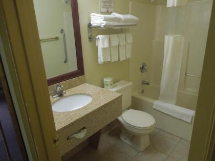 Quality Inn & Suites Dublin - image 7