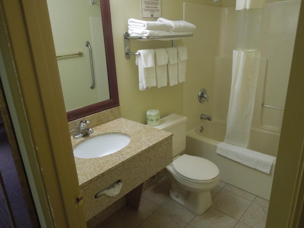 Quality Inn & Suites Dublin - image 7