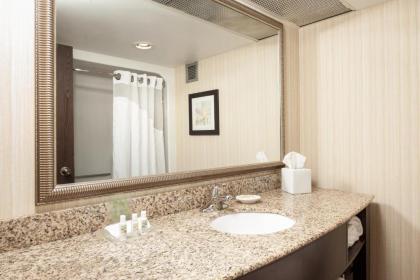 Holiday Inn Dubuque/Galena an IHG Hotel - image 11