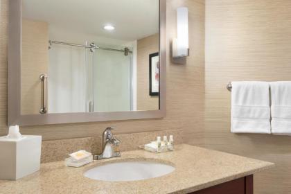 Holiday Inn Dubuque/Galena an IHG Hotel - image 13