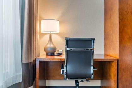 Comfort Suites Canal Park - image 10