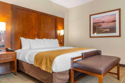 Comfort Suites Canal Park - image 11