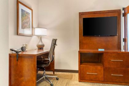 Comfort Suites Canal Park - image 14